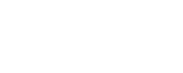 PESTÖM BERLINGO